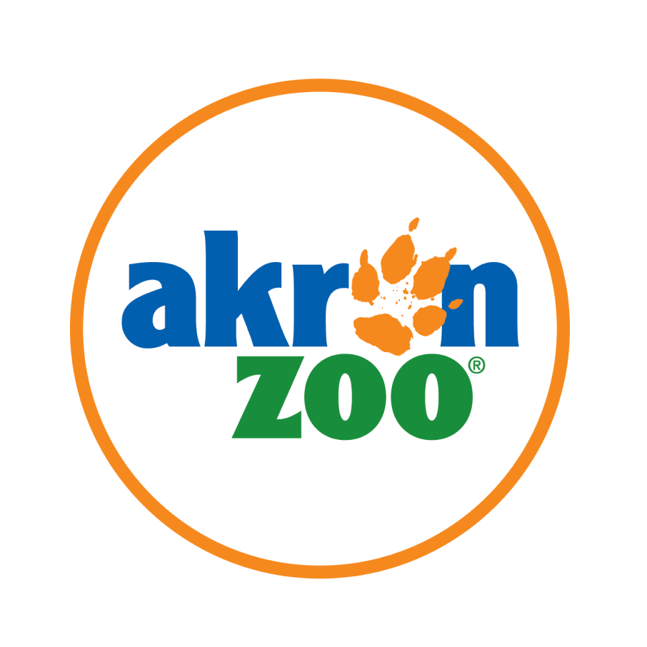 zoolife The world's first live and interactive online zoo.